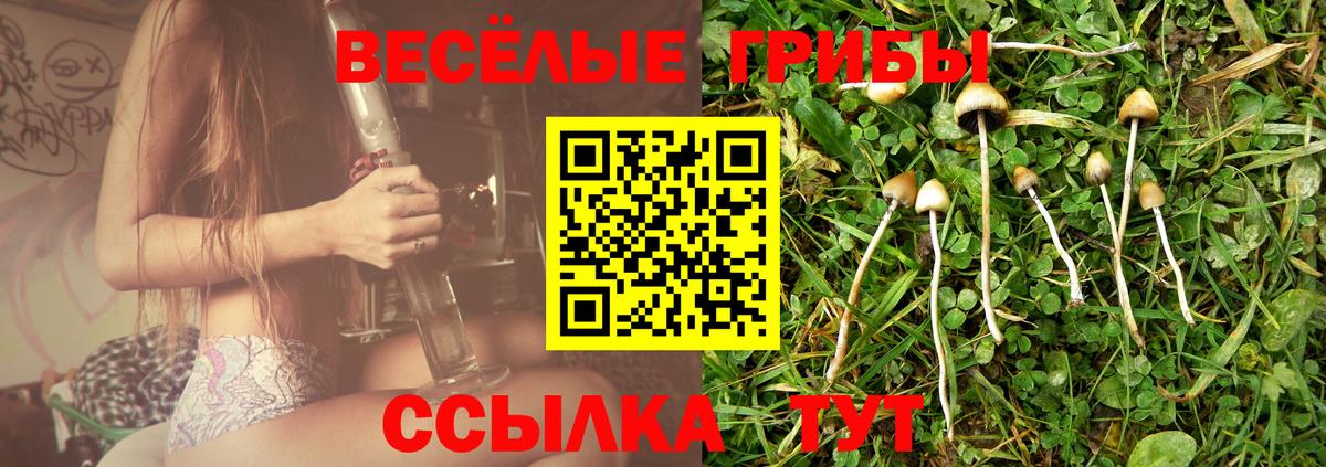 Галлюциногенные грибы GOLDEN TEACHER  Псилоцибиновые грибы Magic Shrooms  Звенигород  Вход с VPN 