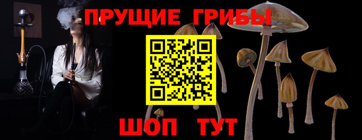 Псилоцибиновые грибы мухоморы Звенигород